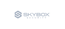 Skybox_grey logo