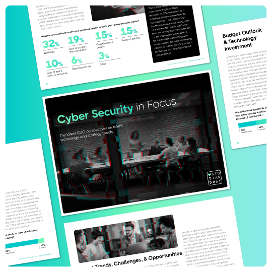 Cyber-Security-in-Focus-Document-Overview