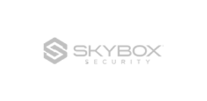 Skybox Security_grey
